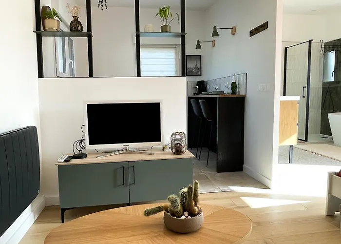 Studio Moderne - Belle Aura